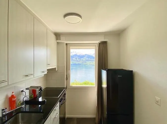Panorama Boutique With Air Condition, Entry In Solbadhotel Sigriswil